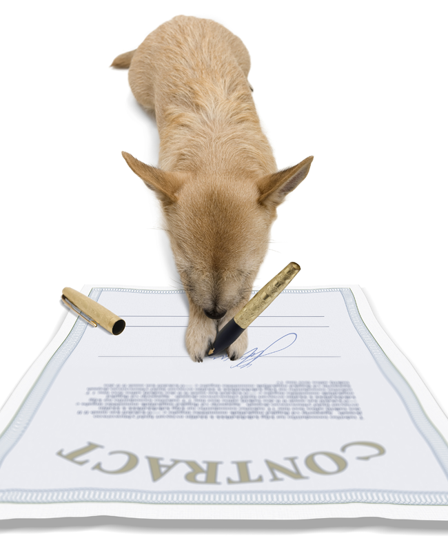 Dog Signing Contract